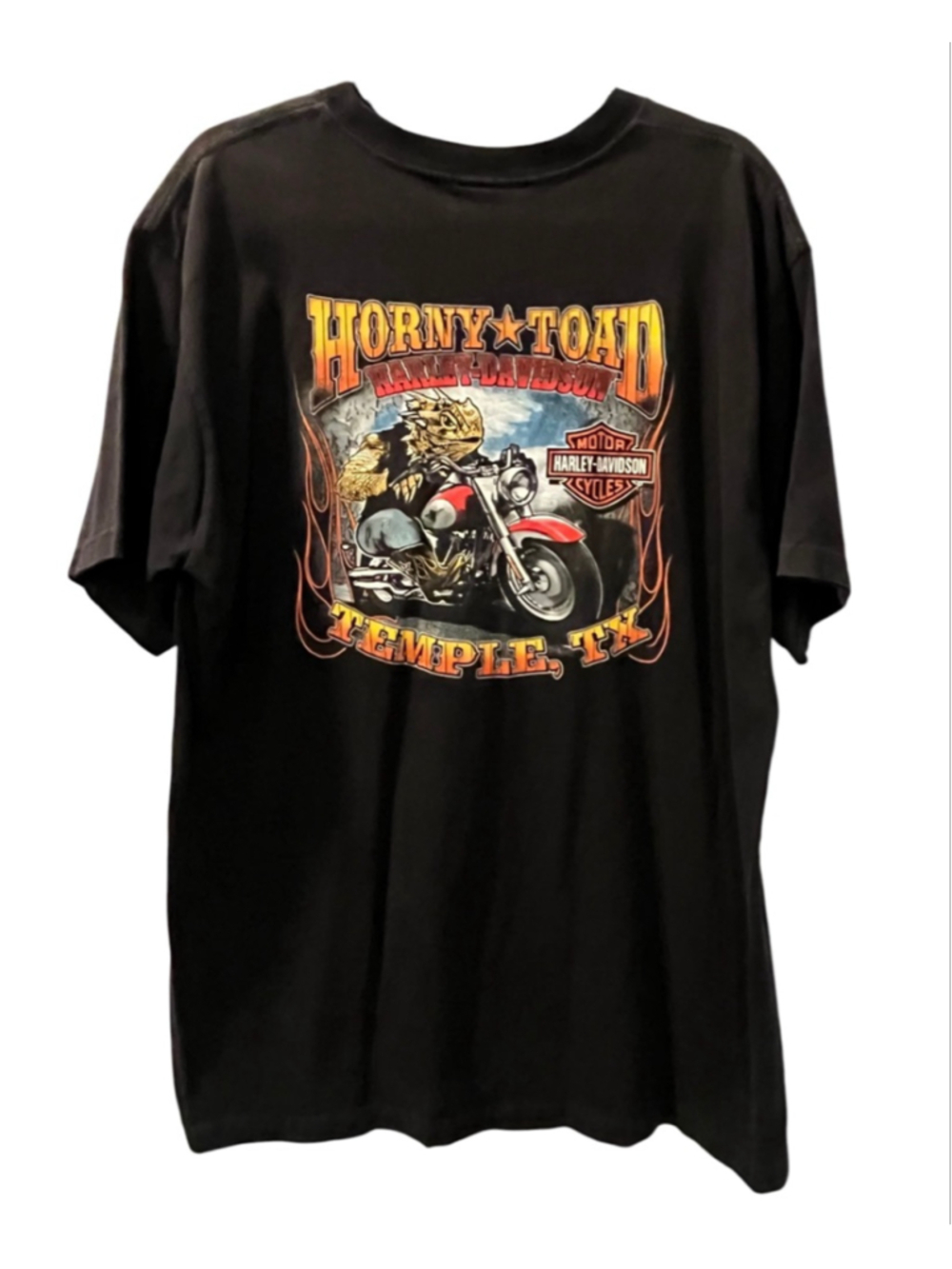 VTG Harley Davidson Y2K 2006 Shirt XL Horny Toad Temple Texas Biker Graphic Tee